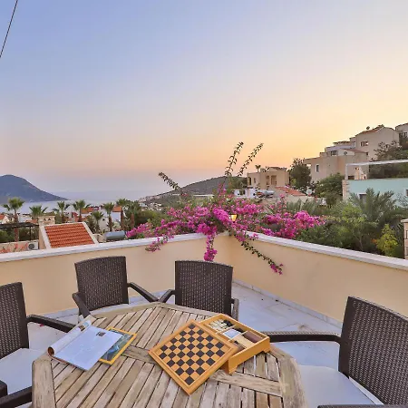 Caretta * Kalkan